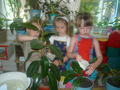 Уголок природы